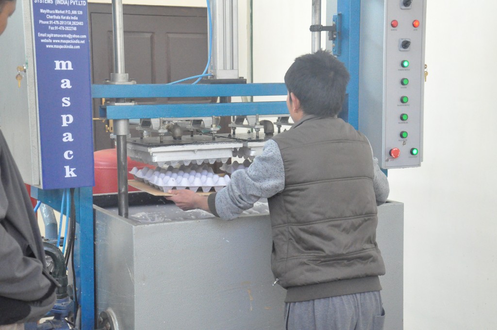 Production of egg trays at the pulp molding machine