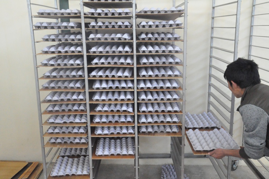 Drying of egg trays on trolleys