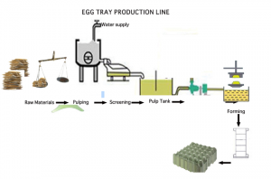 Entire process of egg tray production from waste paper